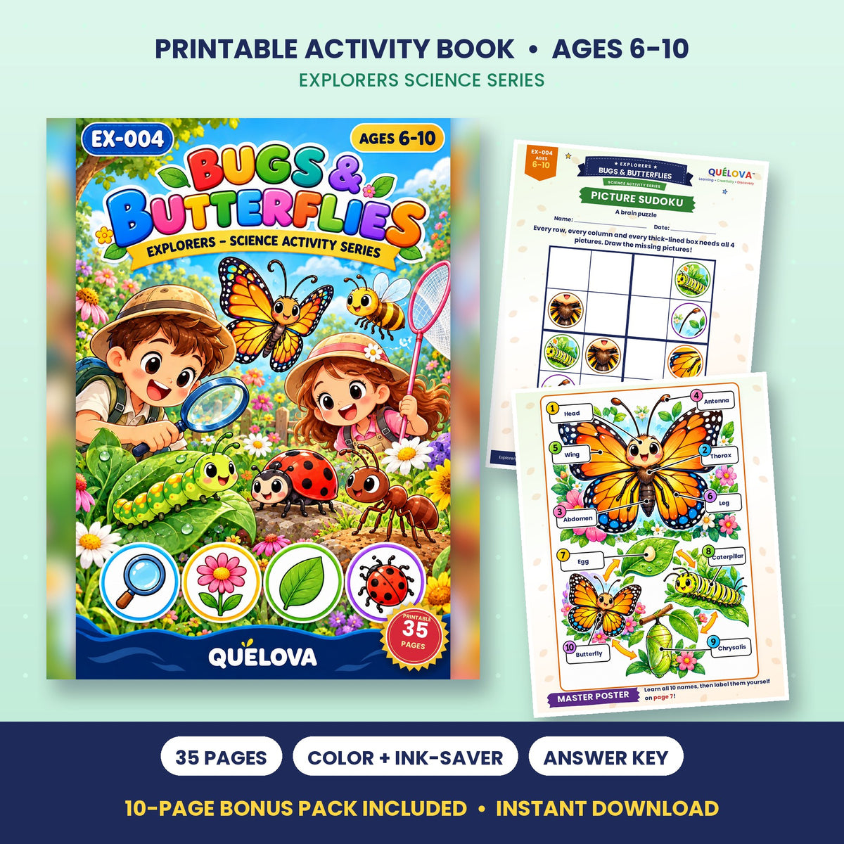 Bugs & Butterflies printable activity book: cover and sample pages