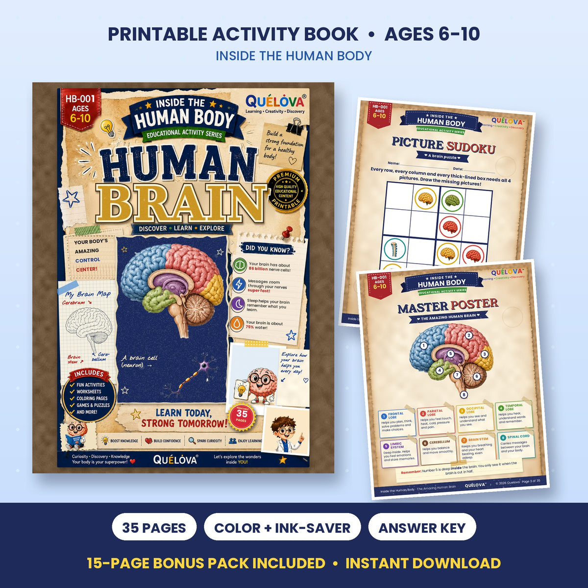 The Amazing Human Brain printable activity book: cover and sample pages