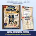 The Amazing Human Skeleton printable activity book: cover and sample pages