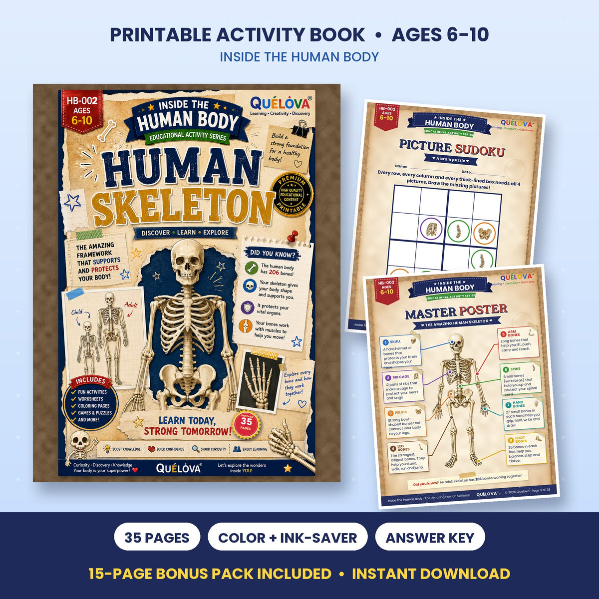 The Amazing Human Skeleton printable activity book: cover and sample pages
