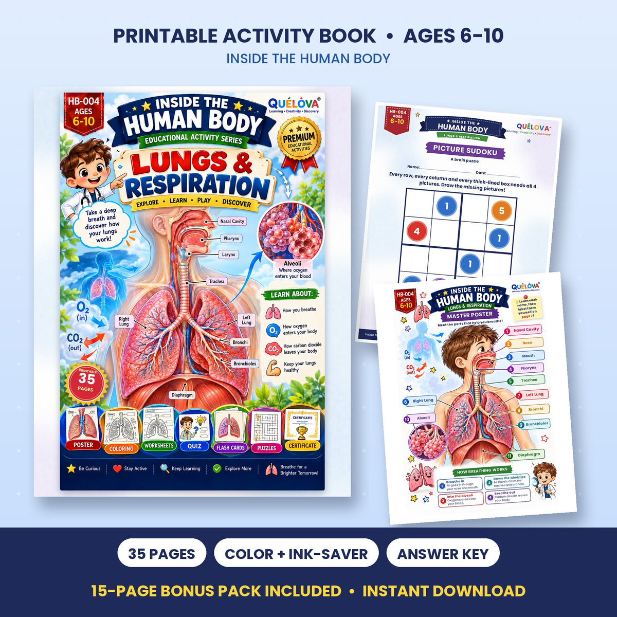 The Amazing Lungs & Breathing printable activity book: cover and sample pages