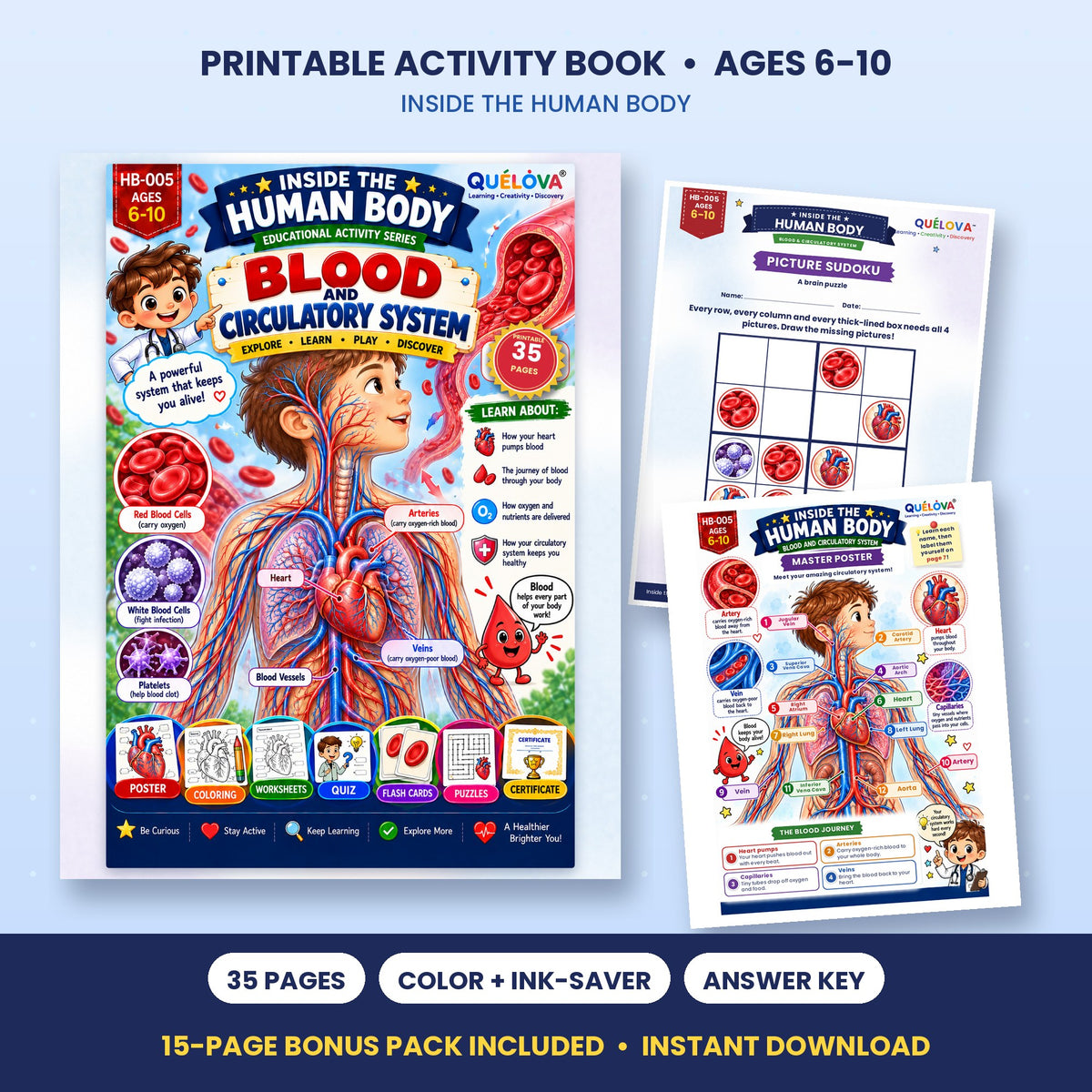 Amazing Blood & Blood Vessels printable activity book: cover and sample pages