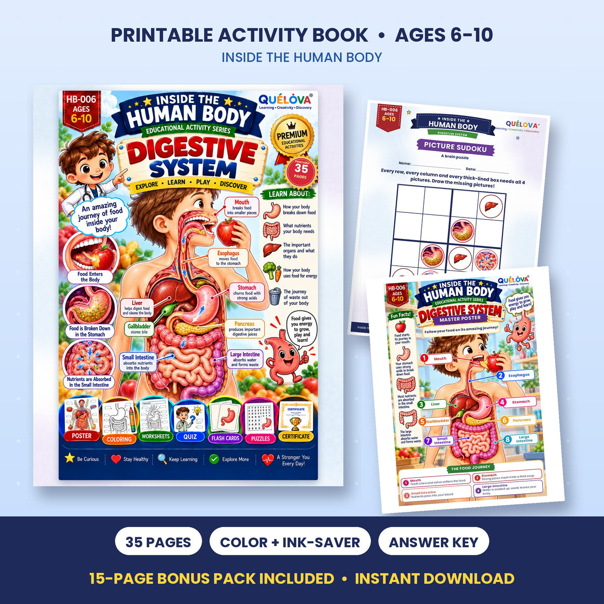 The Amazing Digestive System printable activity book: cover and sample pages