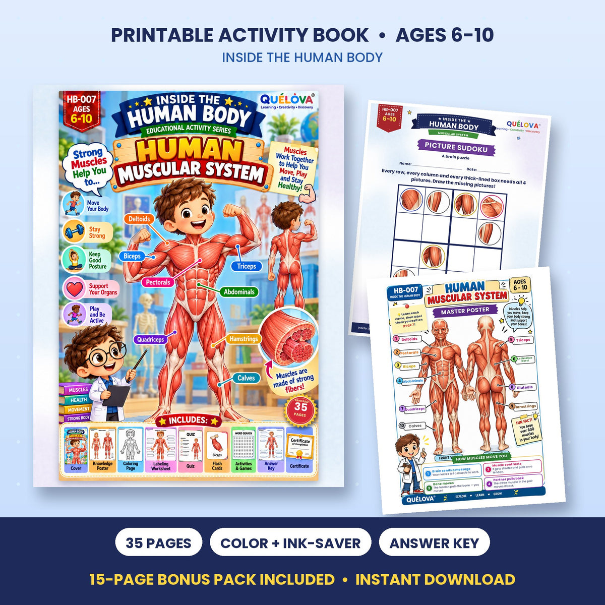 The Amazing Muscular System printable activity book: cover and sample pages