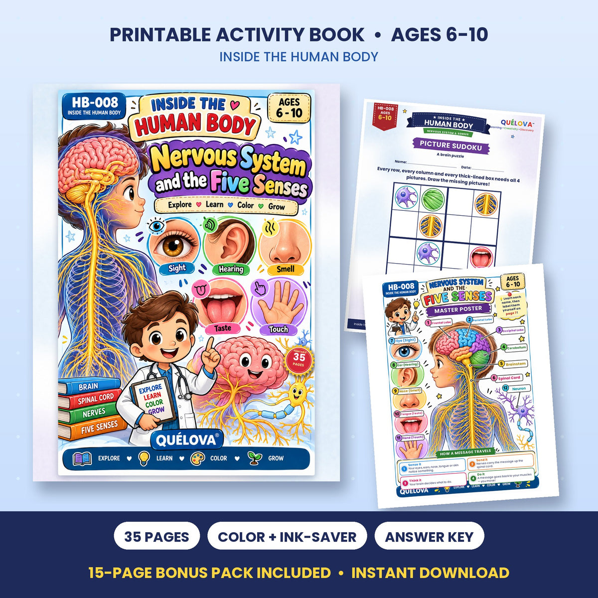 The Nervous System & Five Senses printable activity book: cover and sample pages
