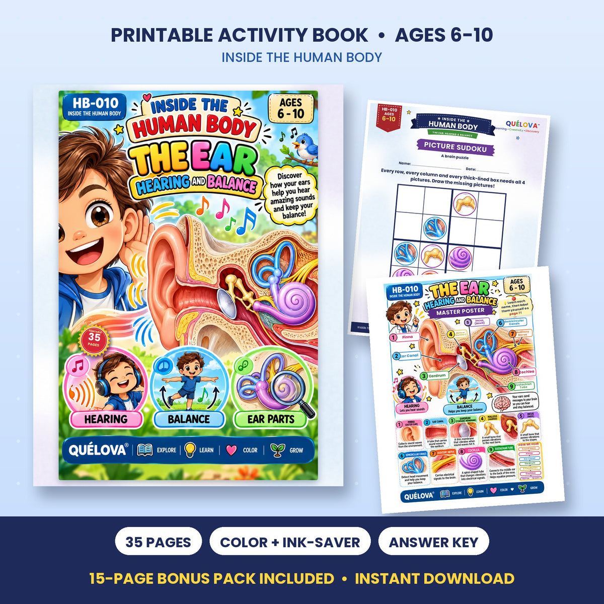 The Ear: Hearing & Balance printable activity book: cover and sample pages