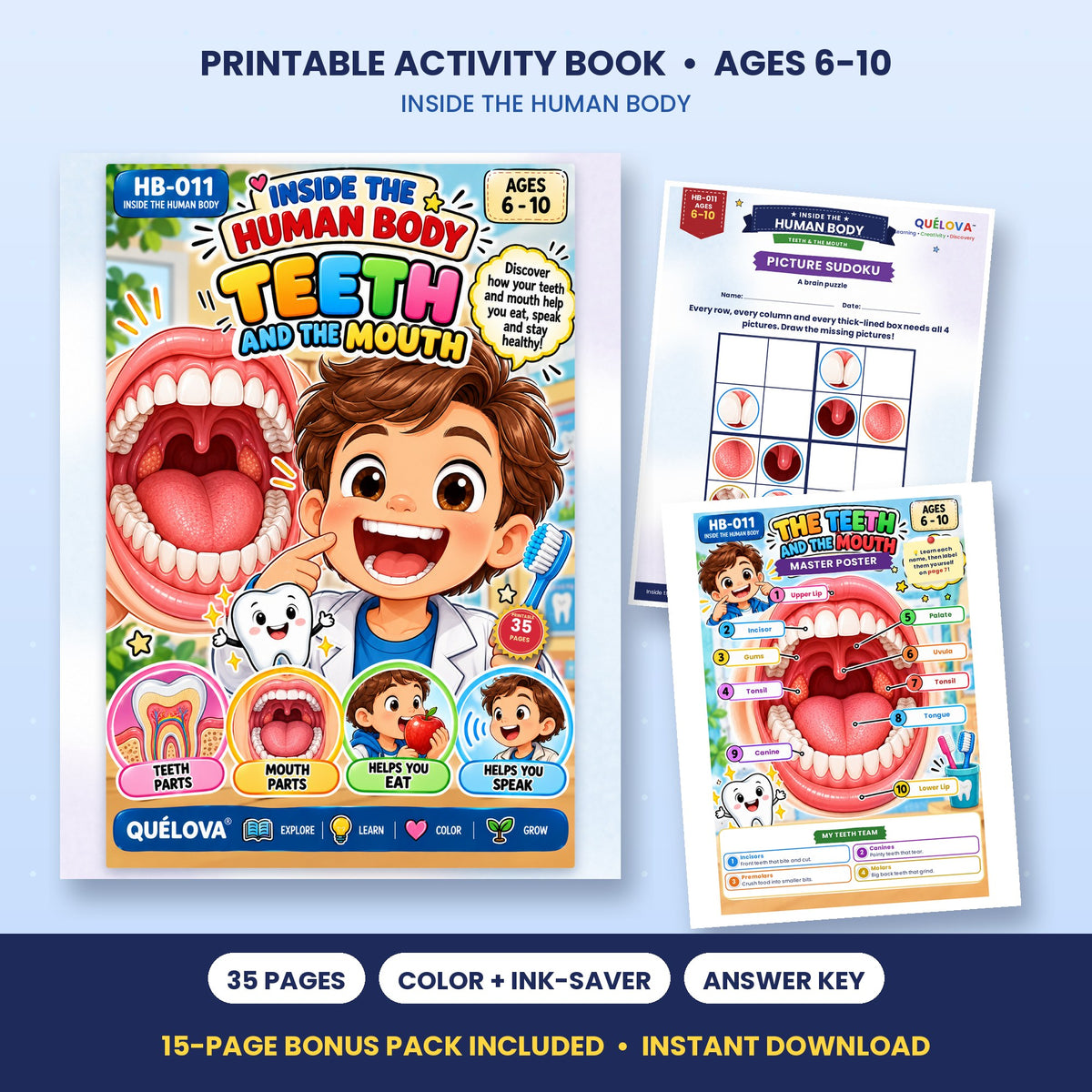 The Teeth & Mouth printable activity book: cover and sample pages