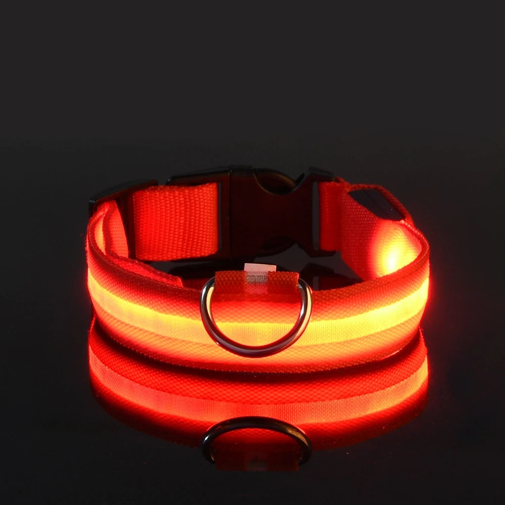 GlowPaw™ Luminous Night Walking Dog Leash