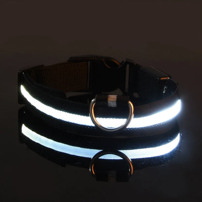 GlowPaw™ Luminous Night Walking Dog Leash