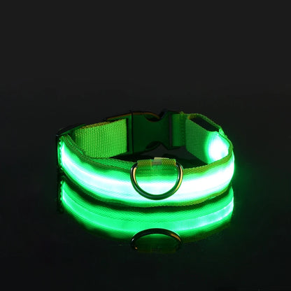 GlowPaw™ Luminous Night Walking Dog Leash
