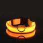 GlowPaw™ Luminous Night Walking Dog Leash