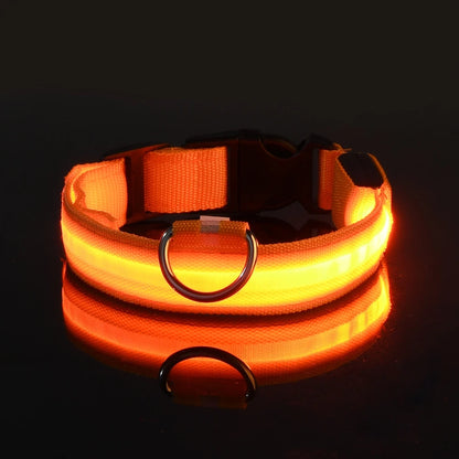 GlowPaw™ Luminous Night Walking Dog Leash