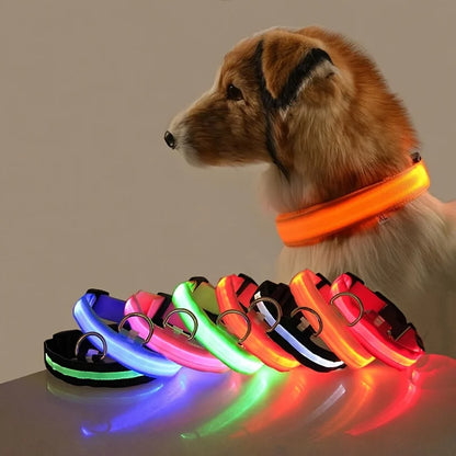 GlowPaw™ Luminous Night Walking Dog Leash