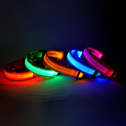 GlowPaw™ Luminous Night Walking Dog Leash