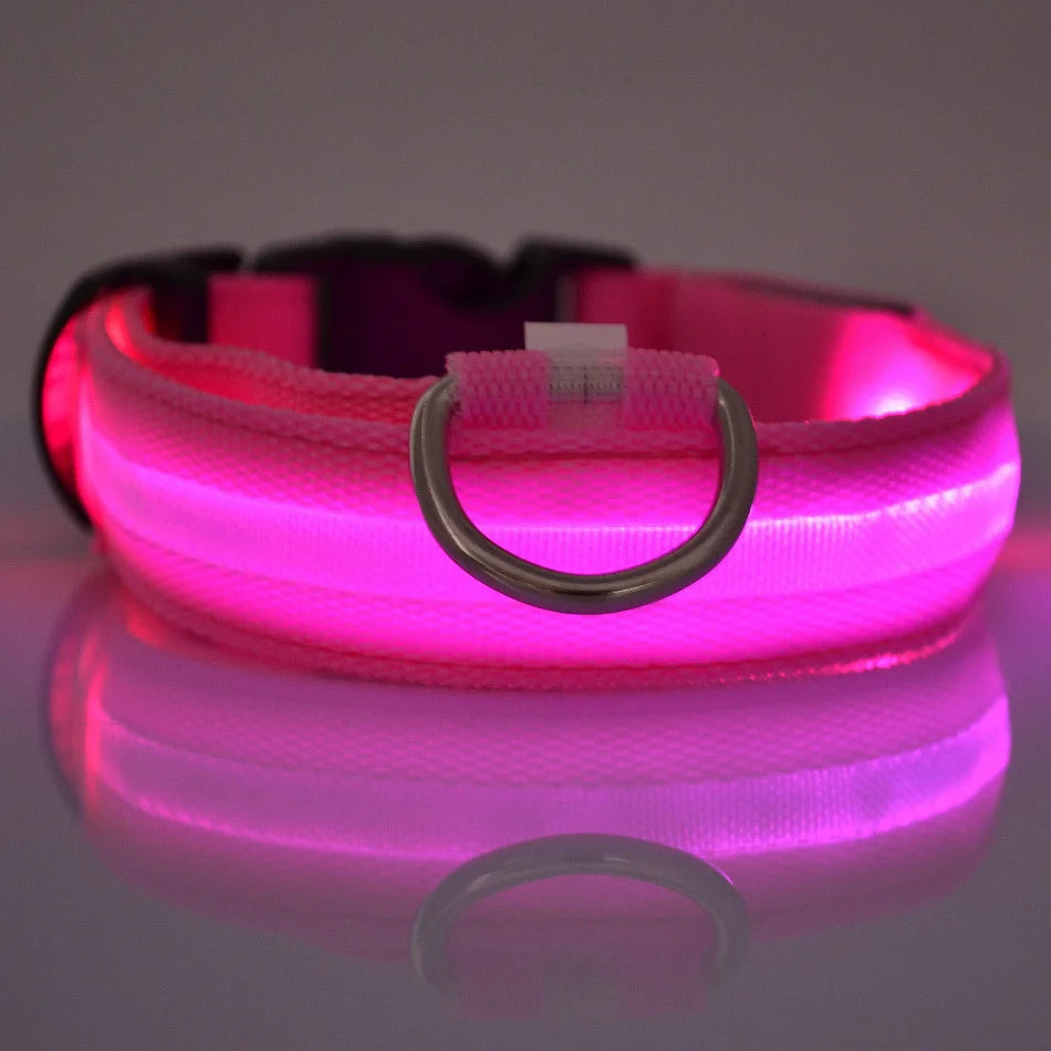 GlowPaw™ Luminous Night Walking Dog Leash